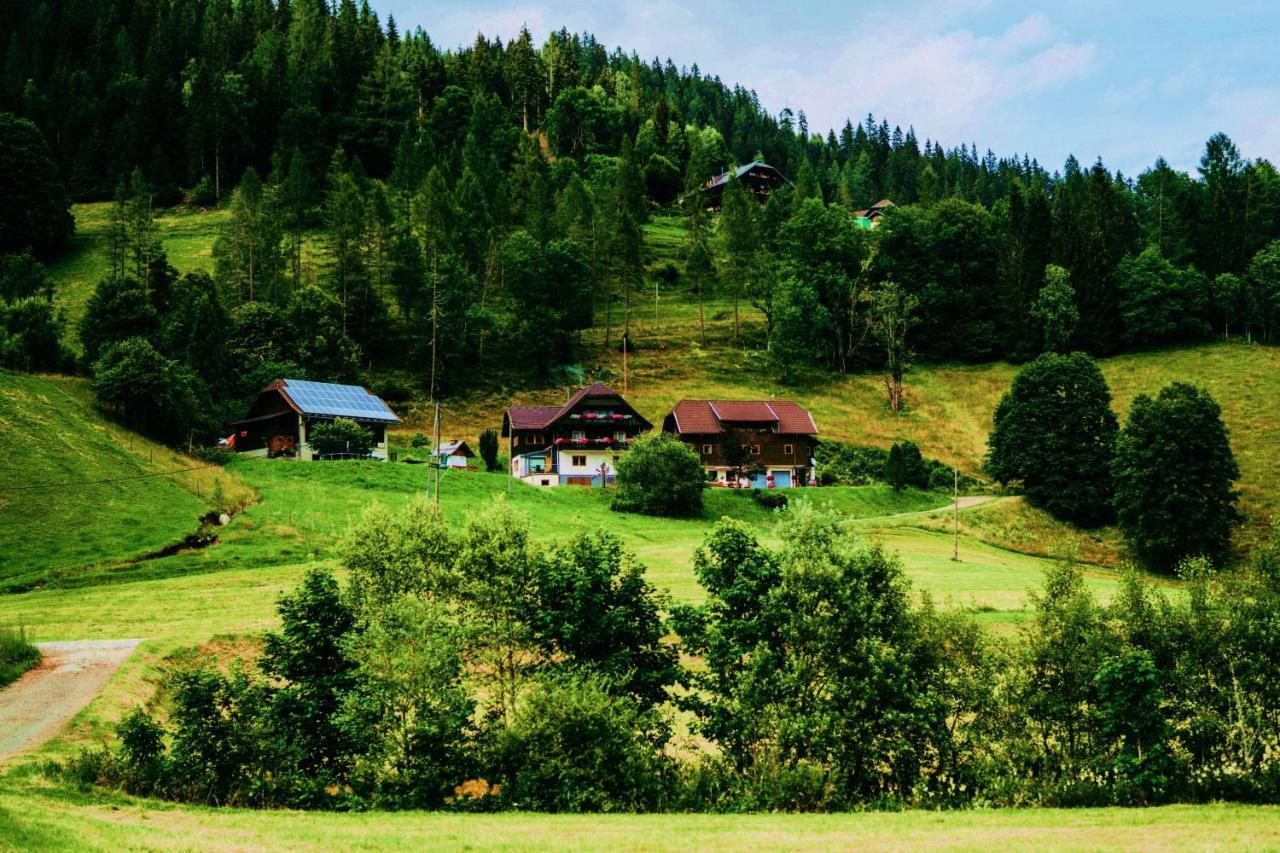 Appartement Vidmar-Wintertraum Arriach Exteriér fotografie