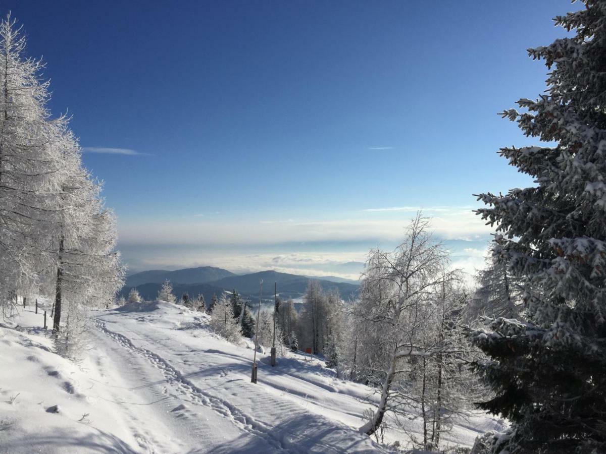 Appartement Vidmar-Wintertraum Arriach Exteriér fotografie